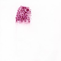 Pastel rose sur calque, 21x29,7cm, 2008 nuque david 23